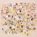 Pins