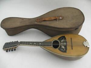 Mandolin, I Originalfodral