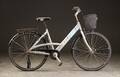 Raleigh. Damecykel, 5532