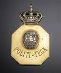 Politiskilt