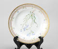 Royal Copenhagen. Flora Danica. Tallerken dessin nr. 203549
