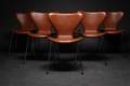 Arne Jacobsen. Sæt på seks stole, model 3107 betrukket med cognac farvet læder 6