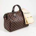 Louis Vuitton handväska modell Speedy