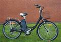 Elcykel, Sort
