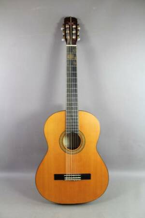 Aukustisk gitarr Century CG-570