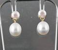 fresh water Pearl earrings in gold
