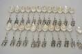 Kaffeskedar Rosen Silver 243gr
