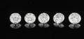 5 Loose brilliant cut diamonds 0.64ct This lot has been put up for resale under the new lot no. 3720842