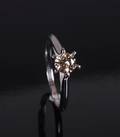 Solitaire ring. 14 kt guld, brillant