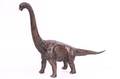 Brachiosaurus