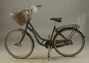 Raleigh, damecykel, 7729