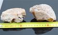 2 Amber chunks - total 365gr.  365gr. 2 This lot has been put up for resale under the new lot no. 3638498