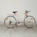CYKEL herr Crescent 28