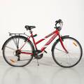 CYKEL dam, Distance, 28, 21vxl