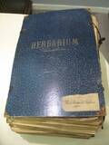 Herbarium
