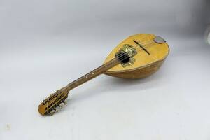 Mandolin