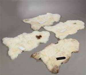 Fire fåreskind af Engelsk opdræt. Super soft. Farver Ivory med brune patches. 4