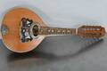 Mandolin
