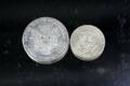 Silverdollar