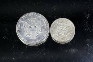 Silverdollar