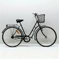 Damcykel