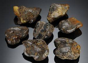 Dansk rav. Samling poleret rav, vægt 174 gr. 7