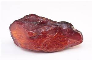 Stor ravklump, dansk rav