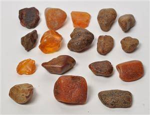 Dansk rav - Samling på 17 ravklumper - Vesterhavet - ca. 209 gram. 