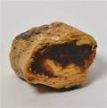 Sortrav - ravklump på ca. 34,7 gram - Chile
