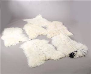 Seks Islandske IIIII grade økologiske fåreskind. PynteskindUdeskind. Farve White 6