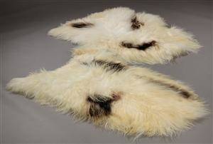 To islandske fåreskind af økologisk opdræt. Long wool. Farve Hvid med sortebrune spots. 2