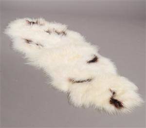 Islandsk forligger. Longwool. Farve Off-white m brune Spots.