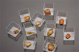 Rav med inklusioner 10