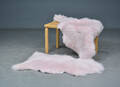 2 rosa lammeskind 2