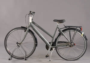 Raleigh, damecykel. 5879