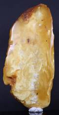Dansk ravklump. Delvis poleret. Vægt 132 g. 