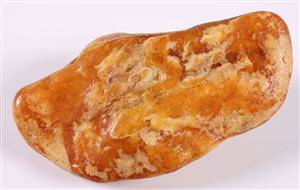 Norsk ravklump, Ravklump Nordatlanten, 189 gr.