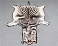 Zebraskind