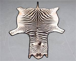 Zebraskind