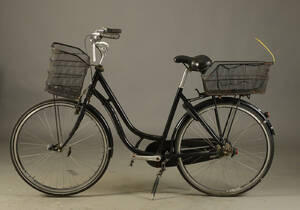 Raleigh, damecykel, 7319