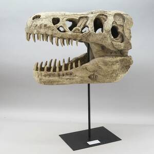 Dinosauriekranium