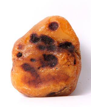 Dansk Rav.  Upoleret ravklump, ca.169 gram.