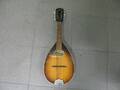 Mandolin, Levin