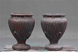 Havekrukker, blomster 2 