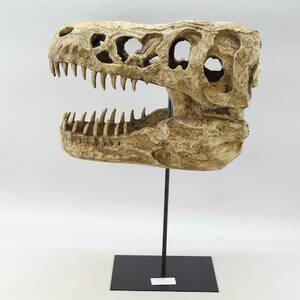 Dinosauriekranium