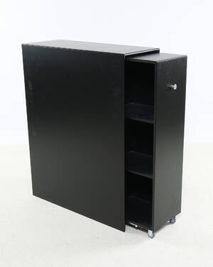 Peter J. Lassen. Montana CO16 Cargo modul