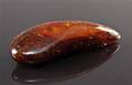 Poleret ravstykke 54,7 gr. 