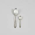 Skedar, silver