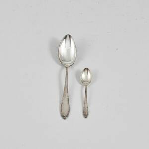 Skedar, silver