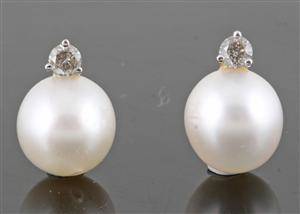 South sea pearl earrings in gold 